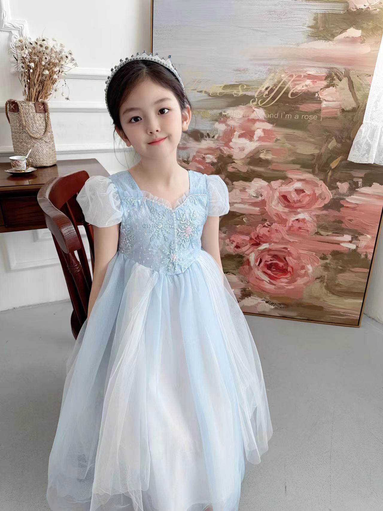 Embroidered Elsa Girls Dress f - Baby Xmas Clothing recensie en prijs